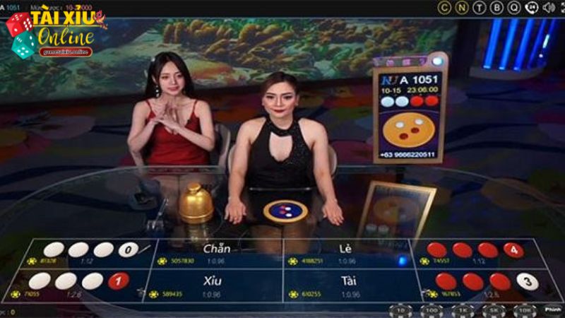 Chọn bàn Tài Xỉu tại Kubet để bắt đầu cá cược Chọn bàn Tài Xỉu tại Kubet để bắt đầu cá cược